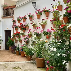 Amal Casa De Huespedes Apartment