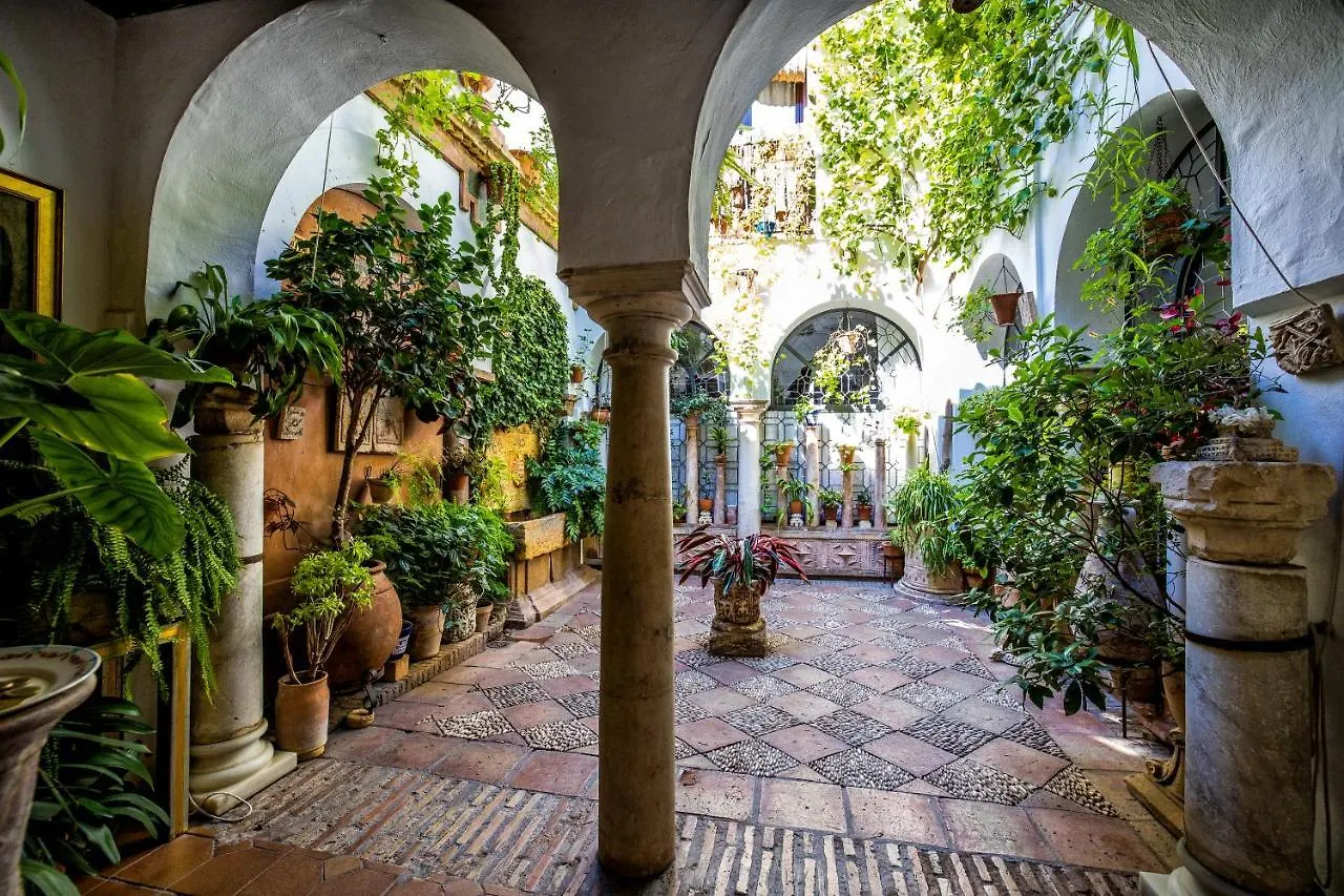 Apartamento con patio cordobés en San Basilio Córdoba 0*,