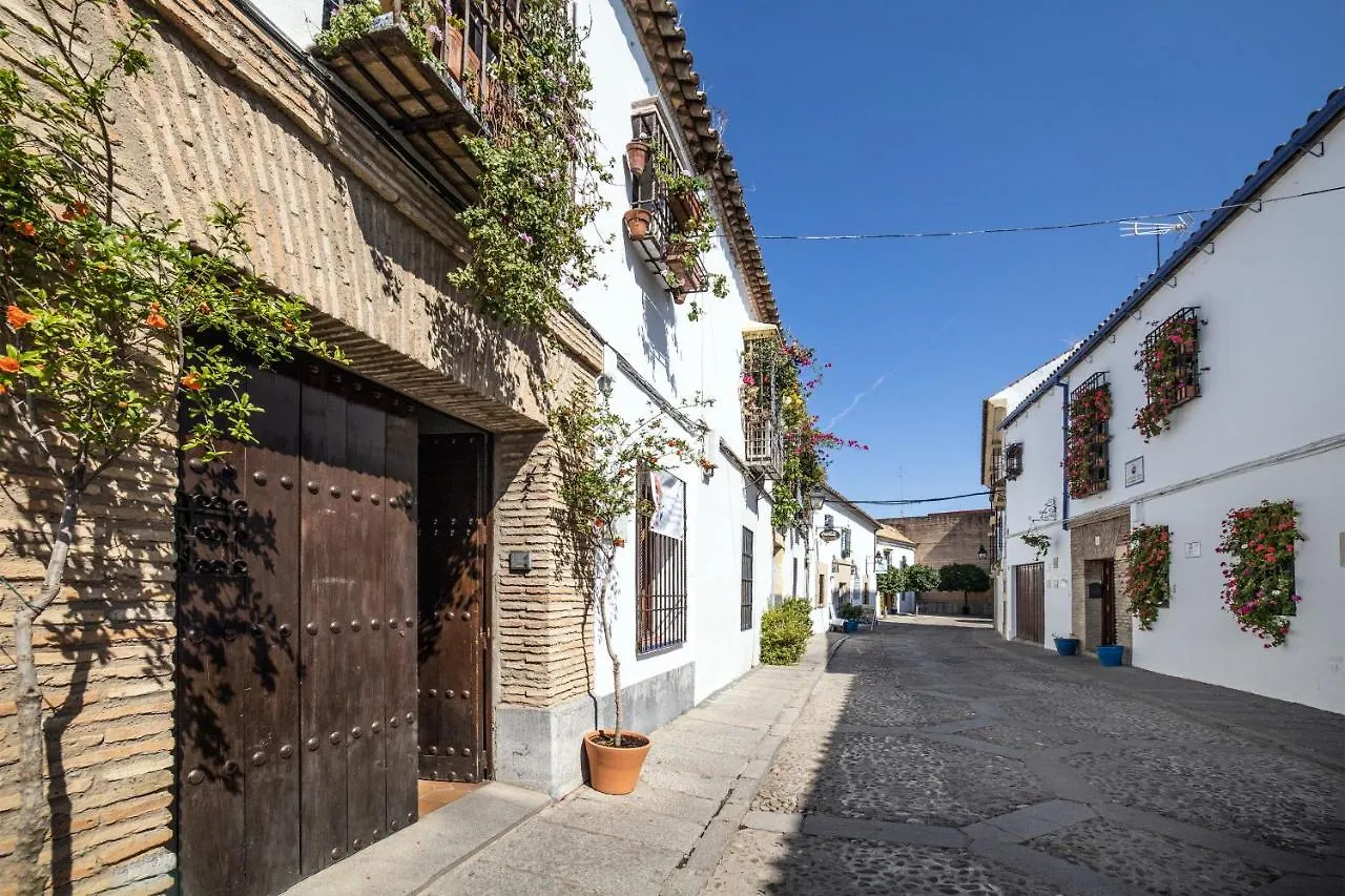 Apartamento con patio cordobés en San Basilio Córdoba 0*,