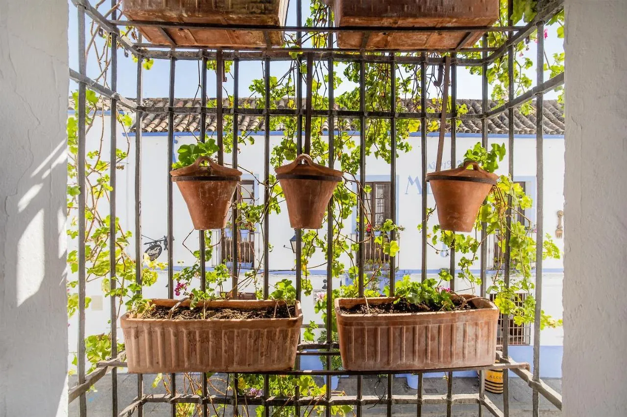 Apartamento con patio cordobés en San Basilio Córdoba