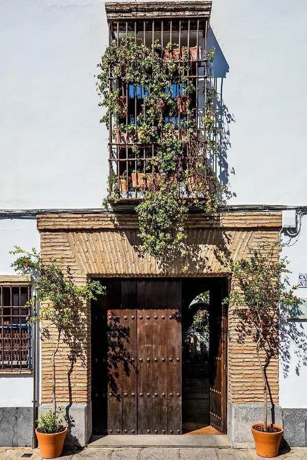 Apartamento con patio cordobés en San Basilio Córdoba