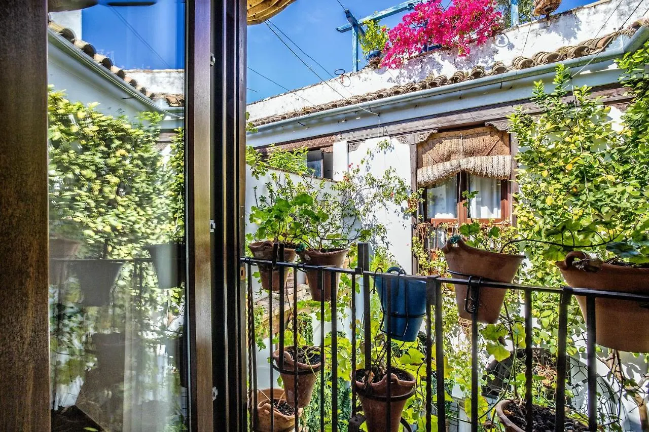 Apartamento con patio cordobés en San Basilio Córdoba España